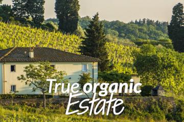 ORGANIC BIO WINE & FOOD TOUR! - Chianti Wine Tour in Tuscany