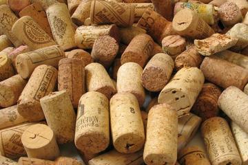 Pisa and Chianti Wine Tasting Tour