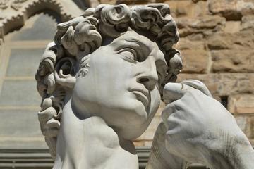 Round Trip Transfer service plus Best of Florence Walking Tour included David