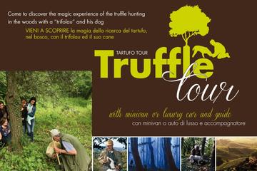 Snuffle & Truffle: All about the Truffle included also Organic Chianti Wine Farm