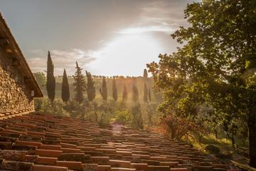 Special tour to discover the wonderful four gems of Tuscany & drink Chianti Wine