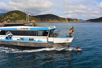 Small Group Half Day Mail Boat Cruise from Havelock