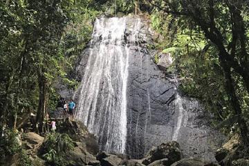 Yunque Rain Forest half-day with Cave and Cultural Dance Class
