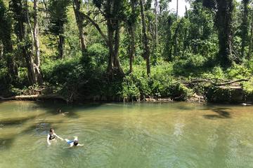 Yunque Rainforest half-day and Loiza Cave Experience
