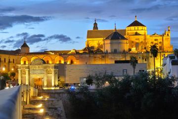 Day Trip to Cordoba from Madrid by High Speed Train