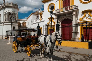 Discover Sevilla from Madrid by High Speed Train