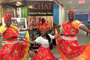 Little Haiti Dance, Drum & Dine Tour