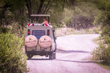 Best Of Kenya  and Tanzania Safari