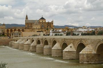 Full-day Cordoba Tour from Seville, including Cordoba Mosque