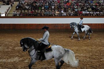 Full-day Jerez and Cadiz from Seville, with Horse Ballet and Sherry Tasting