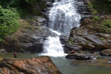 Hiking and Horseback Riding from Punta Cana