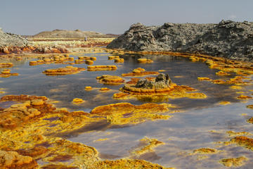 Explore Danakil Depression and Volcano