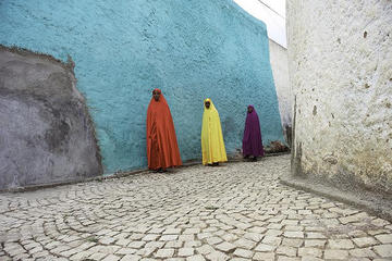 Harar via Awash National Park Private Tour