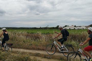 CYCLING THROUGH THE VINEYARDS (THE SUSTAINABLE VISIT)