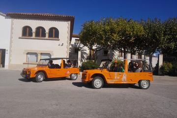 NADAL & MEHARI BETWEEN VINEYARDS
