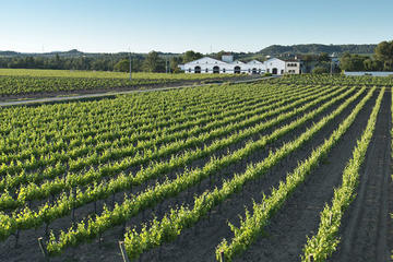 Nadal de la Boadella Estate Cava Sensations Tour