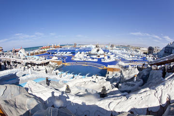 Full-Day Entrance Tickets to Ice Land Water Park in Ras Al Khaimah