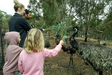 Full-Day Nature Tour from Perth