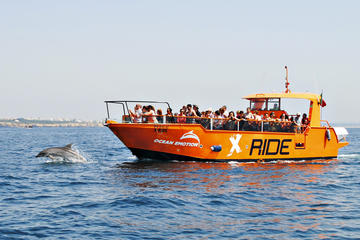 Dolphin Watching and Caves Cruise