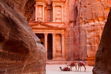 Full-Day Tour to Petra