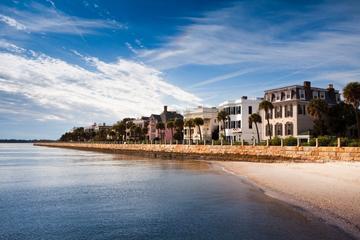 Small-Group Charleston Minibus Tour
