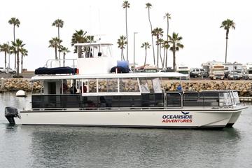 Day Trip Two-Hour Whale Watching Tours from Oceanside near Oceanside, California 