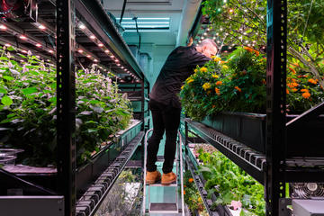 Indoor Hydroponic Farm Culinary Tour & Tasting with Prosecco