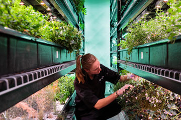 Private Indoor Hydroponic Farm Culinary Tour & Tasting with Prosecco