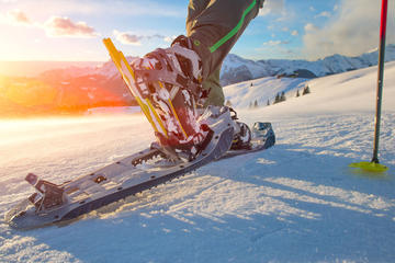 Snowshoe Hiking