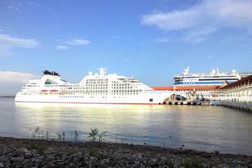 Base On per Vehicle Price To KL Tour Cruise Excursions from Port Klang Cruise