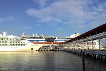 Kuala Lumpur Cruise Excursions from Port Klang Cruise Terminal to KL Tour
