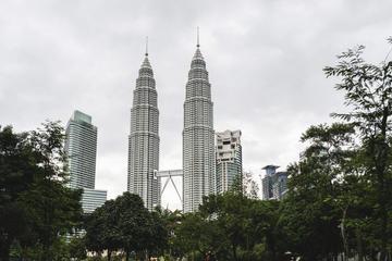 Private KL City And Fireflies Day Tour ( includes Lunch And Seafood Dinner )