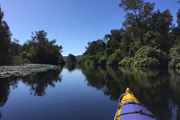 3 Day Self-Guided Noosa Everglades Kayak Tour