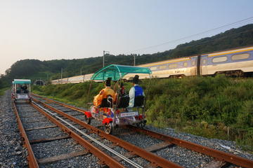Day Trip to Jeonju Hanok Village with Rail Bike Experience from Seoul