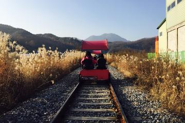 Guided Nami Island Day-Trip with Petite France and Gangchon Rail Bike