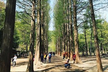 Nami Island, Petite France, Rail Bike and Garden of Morning Calm Tour