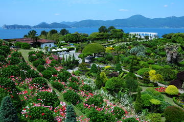 Special Oedo Island Day Trip from Busan