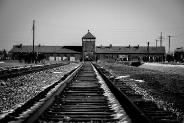 Auschwitz-Birkenau and Wieliczka Salt Mine Full Day Guided Tour from Krakow