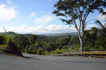 Center of Puerto Rico Day Tour from San Juan