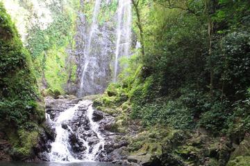 Hiking to a Hidden Waterfall Adventure
