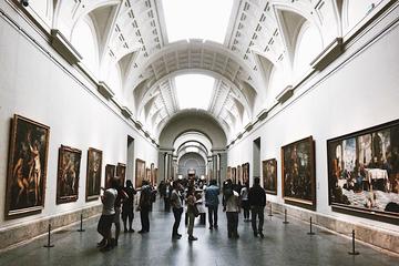 The Prado and Reina Sofia Museum Skip-the-Line Small Group Guided Combo Tour