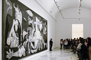 The Reina Sofia Museum Skip-the-Line Small Group Guided Tour