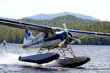 Ketchikan Floatplane Ride & Crab Feast