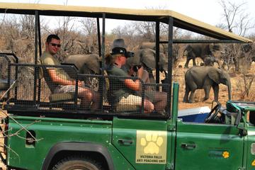 Conservation Awareness Tour