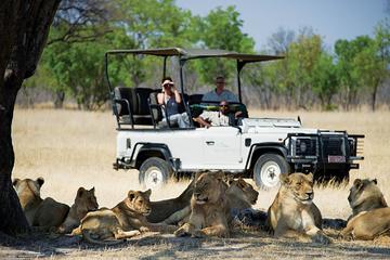 Hwange National Park Day Trip from Victoria Falls