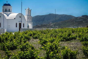 Wine Tasting