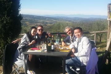 Discover Organic and Biodynamic Chianti Small Wineries - Small Groups Fday tour