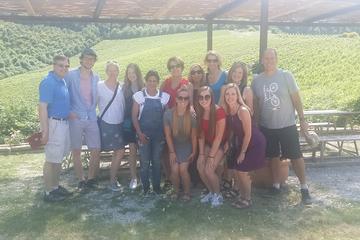 San Gimignano, Monteriggioni, Saffron and Vernaccia Wine from Florence
