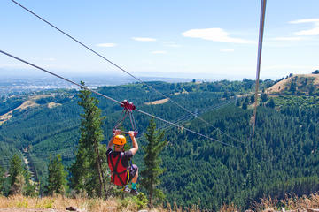 Christchurch Zipline Tour