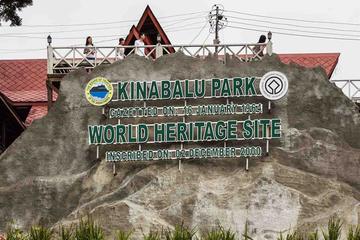 Full-Day Kinabalu Park and Poring Hot Spring Day Trip